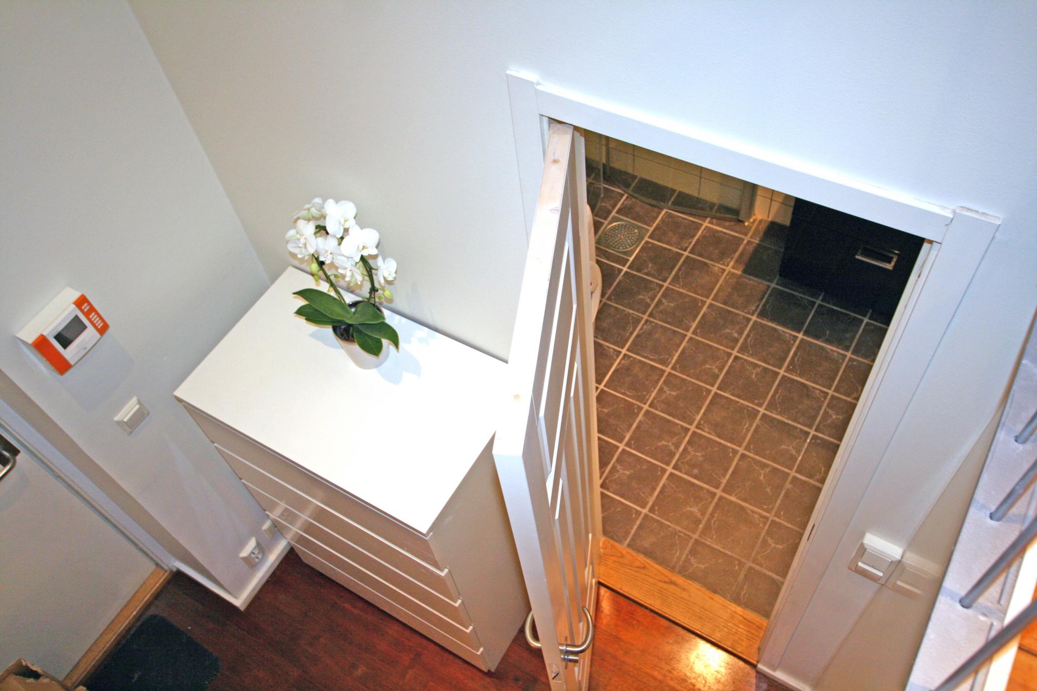 Entre sett fra hemsen